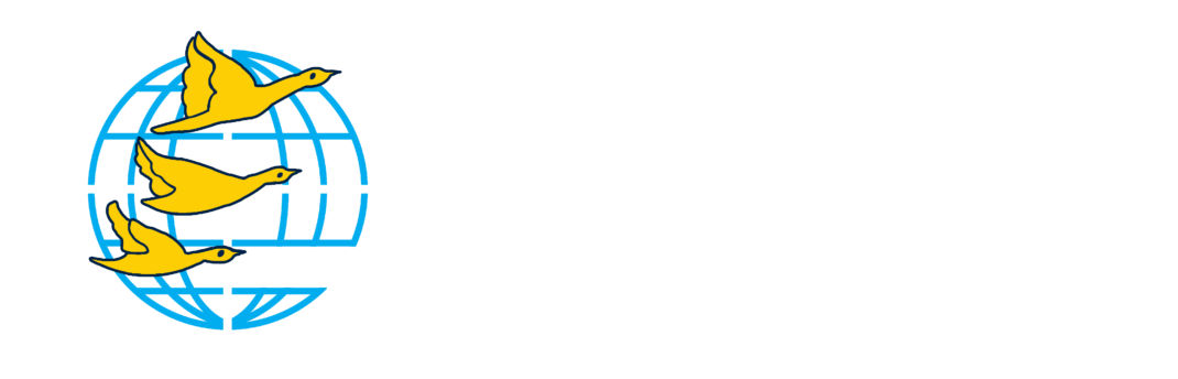 DMI